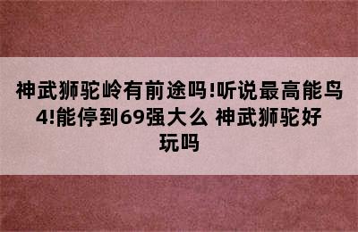 神武狮驼岭有前途吗!听说最高能鸟4!能停到69强大么 神武狮驼好玩吗